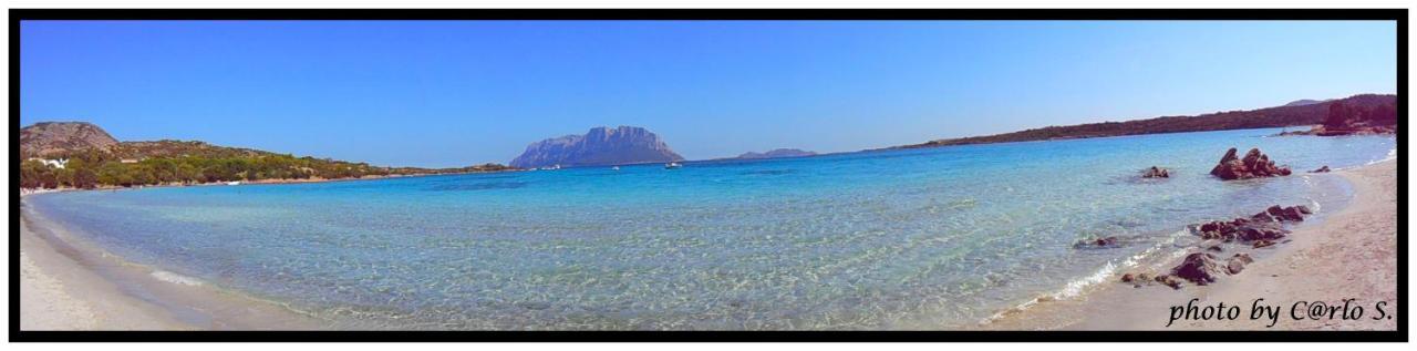 #Garibaldi 05 - Old Town Leilighet Olbia Eksteriør bilde
